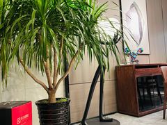 -东亚家具商城(北园立交桥店)