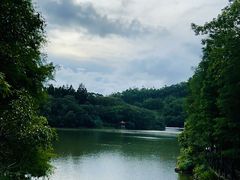 -深圳仙湖植物园