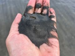 -台山黑沙湾海浴场