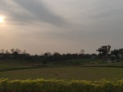 -空港花田景区