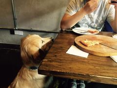 -百好乐宠物友好餐厅(朝外大街店)