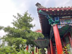 -有喜胶东小馆(超极合生汇太申祥和店)