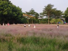 -绿雅居原生态农庄(小涌店)