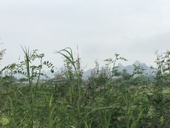 -姑婆山森林酒店