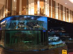 -金翠皇宫粤菜·点心·海鲜(科技园店)