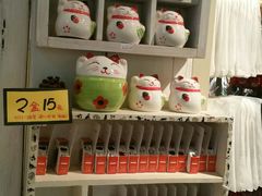 -猫咪博物馆(顶澳仔猫街店)