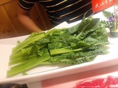 -老版火锅(半坡店)