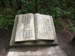 -茅兰沟国家森林公园
