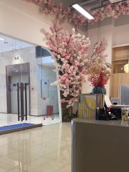 -静待花开瑜伽尊巴会馆
