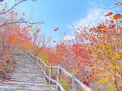 -周口店坡峰岭风景区