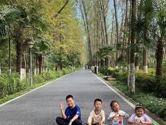 -合肥滨湖国家森林公园