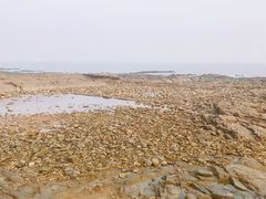 -刘家湾赶海园