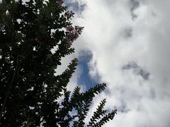 -闽粤南澳总镇府