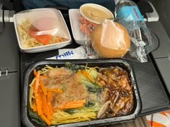 -新加坡航空公司(ION)