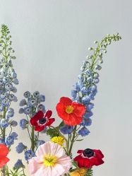 -美肤盾祛痘·问题肌头疗管理中心