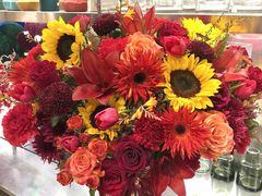 -植物学家的女儿(北马道巷店)