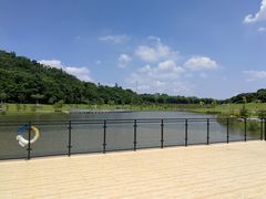-东莞植物园