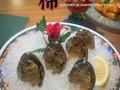 手工冰镇鲍鱼-木棉·醉心粤味(COCO Park店)