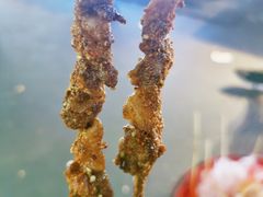 -大学城夜市大排档(凤栖路店)