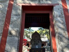 -泰山风景名胜区-普照寺