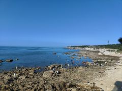 -海岛日记(养马岛店)
