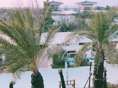 -苏州湾王焰温泉度假酒店