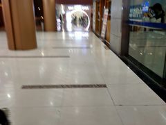 -鸿顺老铁锅美蛙鱼府(解放碑店)