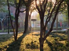 -上海师范大学西部食堂