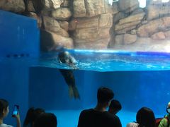 -皇家极地海洋世界-售票处