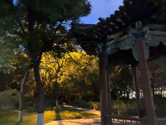 -文瀛公园