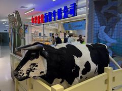 -红星前进面包牛奶公司(君太店)