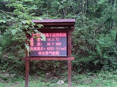 -牛背梁国家森林公园
