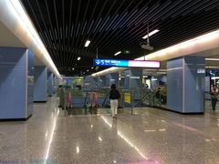 -大龙山(地铁站)