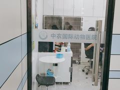 -中农国际动物医院24小时·猫科·骨科·急重症中心