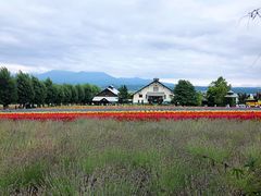 -富田农场
