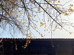 -古大圣慈寺