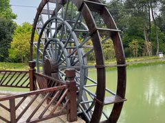 -铁山坪森林公园