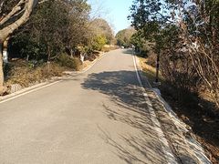 -南京市江宁方山
