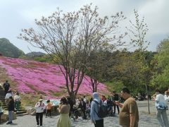 -昆嵛山石门里景区