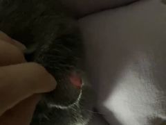 -美联众合动物医院·24h转诊中心