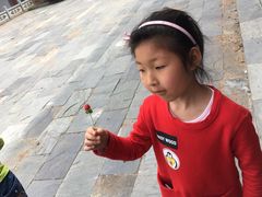 -萝卜潭瀑布群景区