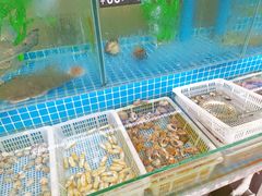 水产区-富临港·蒸汽海鲜·手抓海鲜·炒菜(栈桥店)