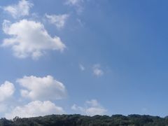 -羊山湖公园