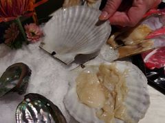 -汤城·料青山