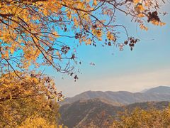 -香山公园