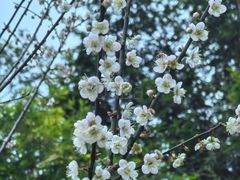-桃花涧