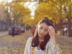 -三里屯东五街银杏大道