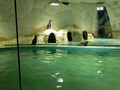 -北戴河圣蓝海洋公园