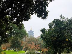 -浙江西子宾馆·瑶园咖啡厅