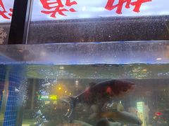 -老街烧烤大排档·地道湖北菜·龙虾馆(汉口火车站店)